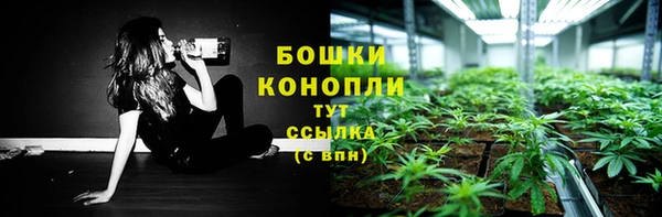 спайс Беломорск
