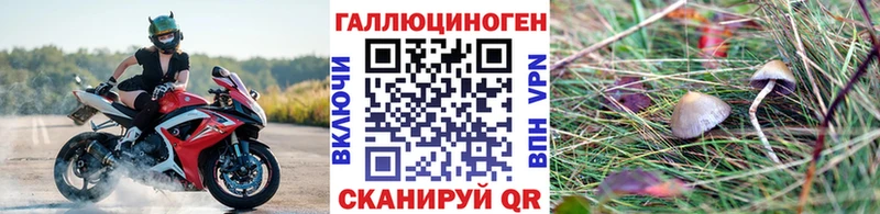 как найти закладки  нарко площадка наркотические препараты  Галлюциногенные грибы ЛСД  Пионерский 